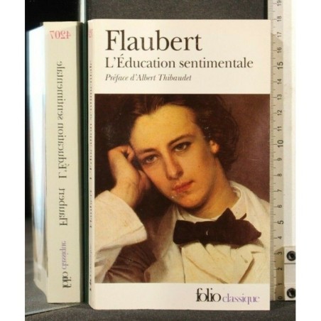 L'EDUCATION SENTIMENTALE