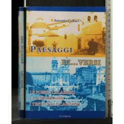 PAESAGGI DI... VERSI