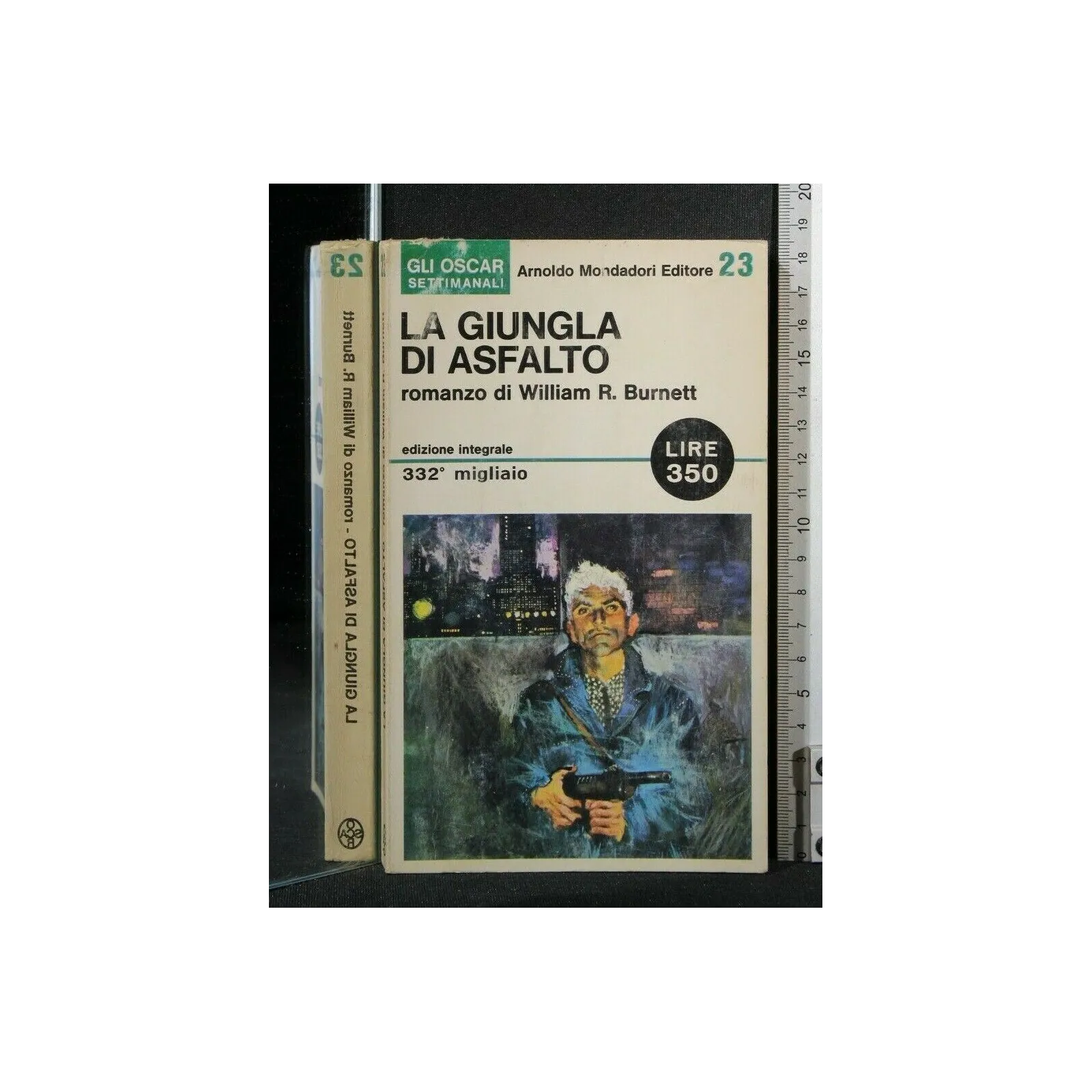 LA GIUNGLA DI ASFALTO