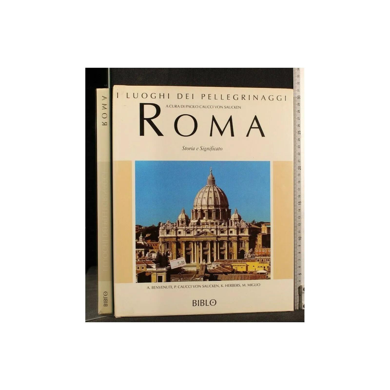 I LUOGHI DEI PELLEGRINAGGI ROMA