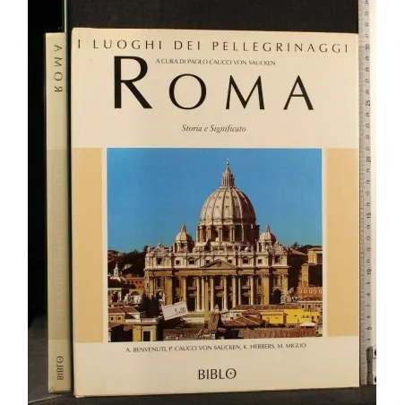 I LUOGHI DEI PELLEGRINAGGI ROMA
