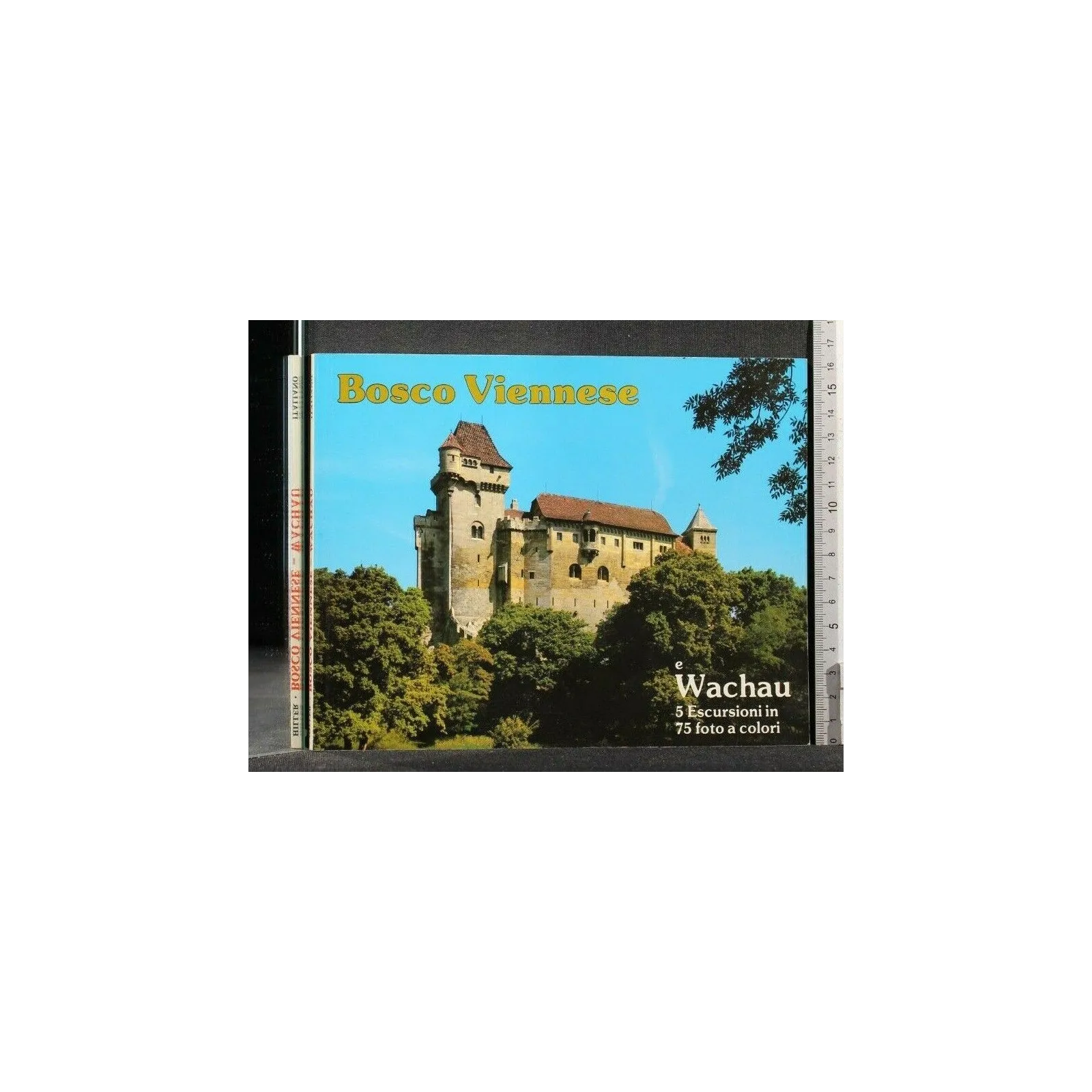 BOSCO VIENNESE - WACHAU