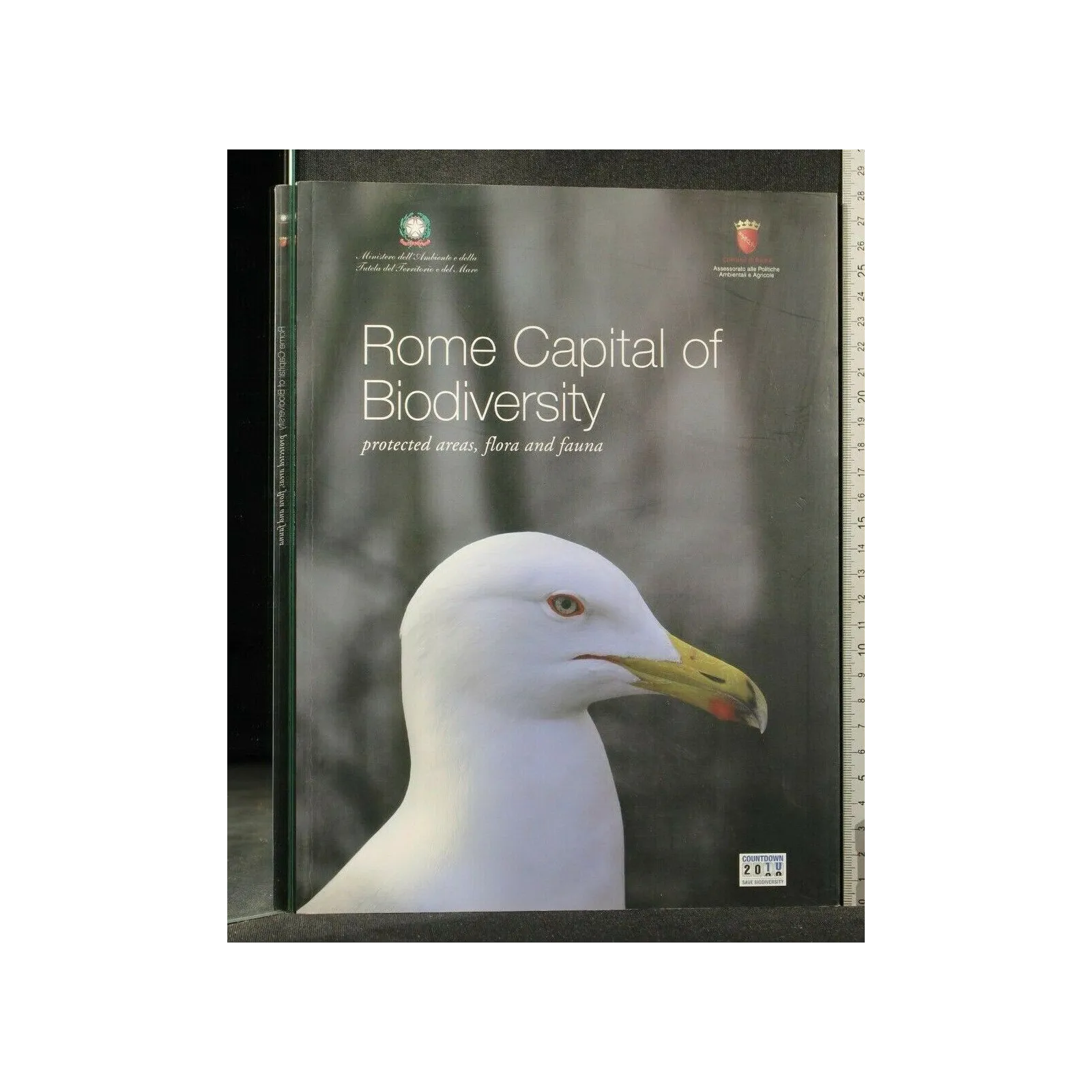 ROME CAPITAL OF BIODIVERSITY PROTECTED AREAS, FLORA AND FAUNA