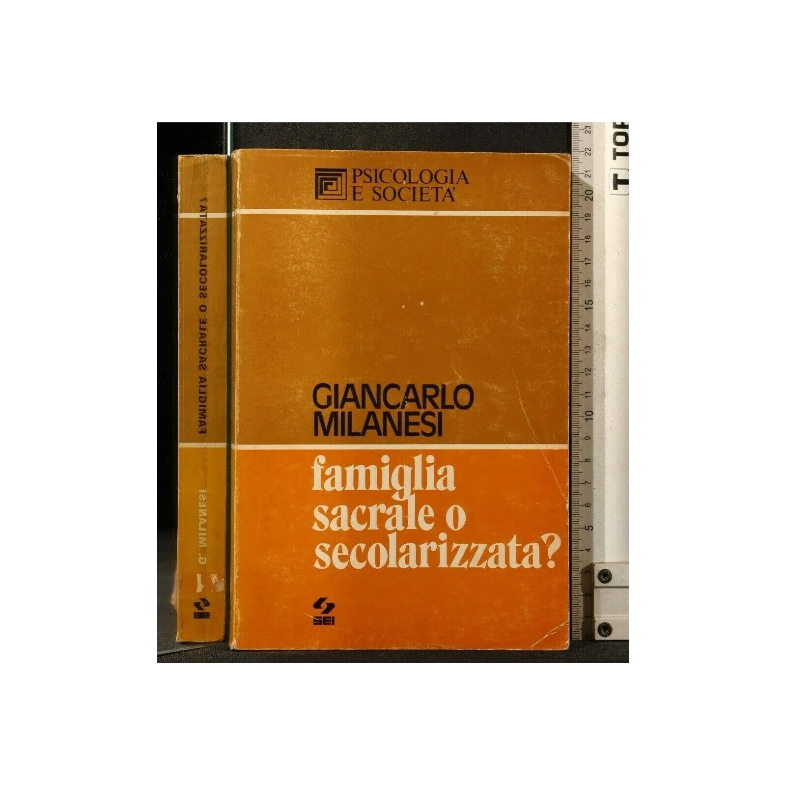 FAMIGLIA SACRALE O SECOLARIZZATA?