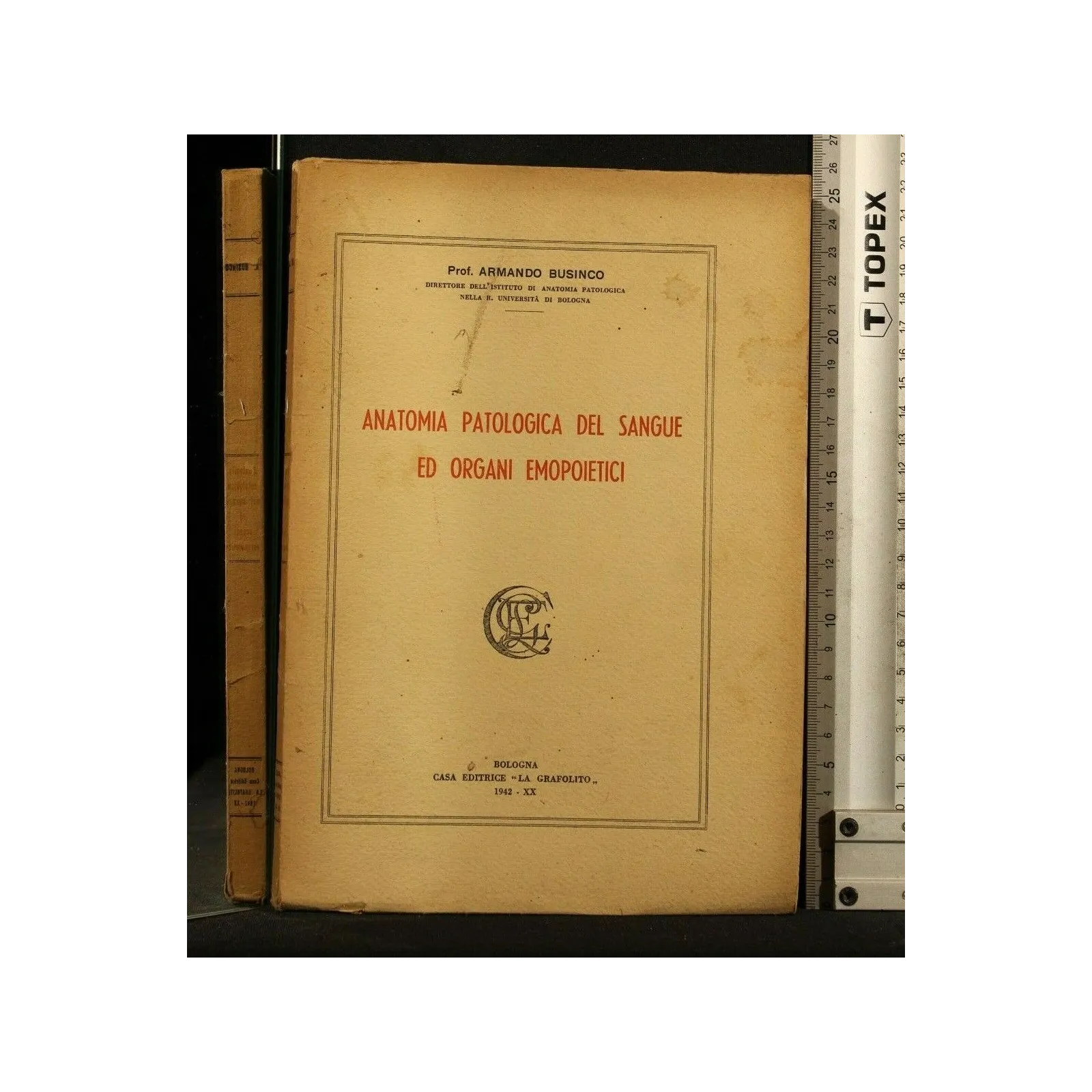 ANATOMIA PATOLOGICA DEL SANGUE ED ORGANI EMOPOIETICI