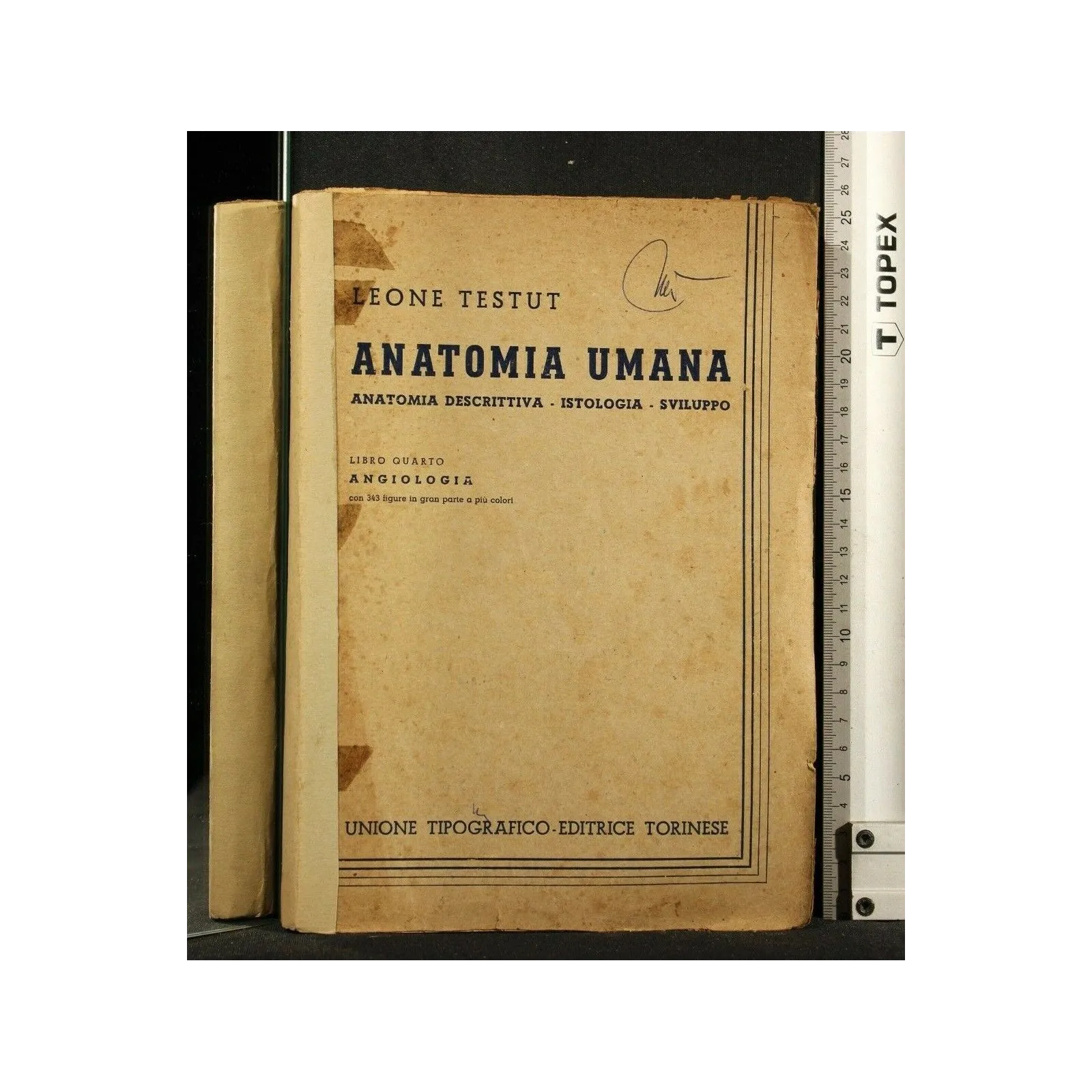 ANATOMIA UMANA LIBRO IV