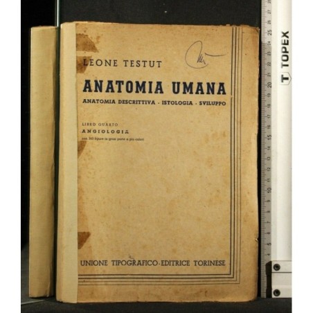 ANATOMIA UMANA LIBRO IV