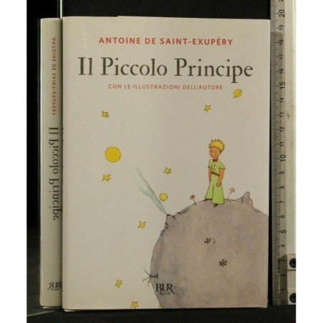 IL PICCOLO PRINCIPE