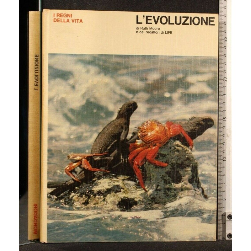 I REGNI DELLA VITA L'EVOLUZIONE