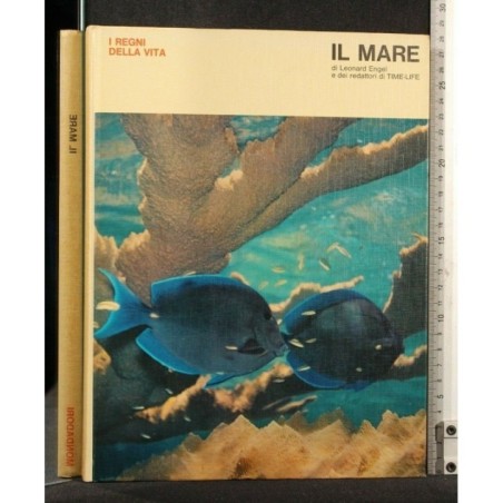 I REGNI DELLA VITA IL MARE