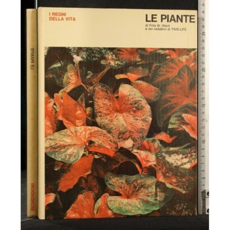 I REGNI DELLA VITA LE PIANTE
