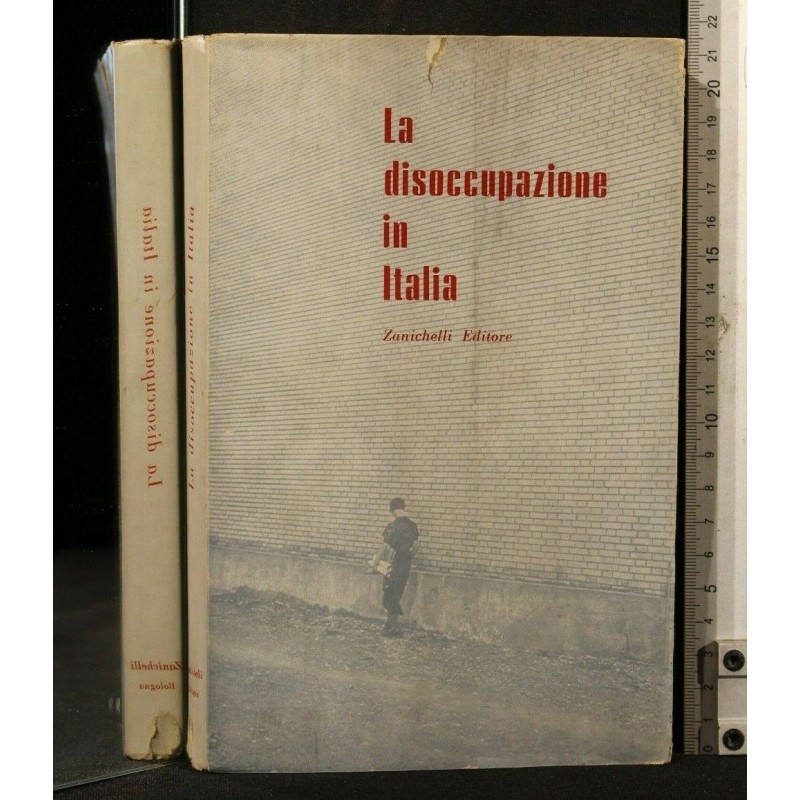 LA DISOCCUPAZIONE IN ITALIA