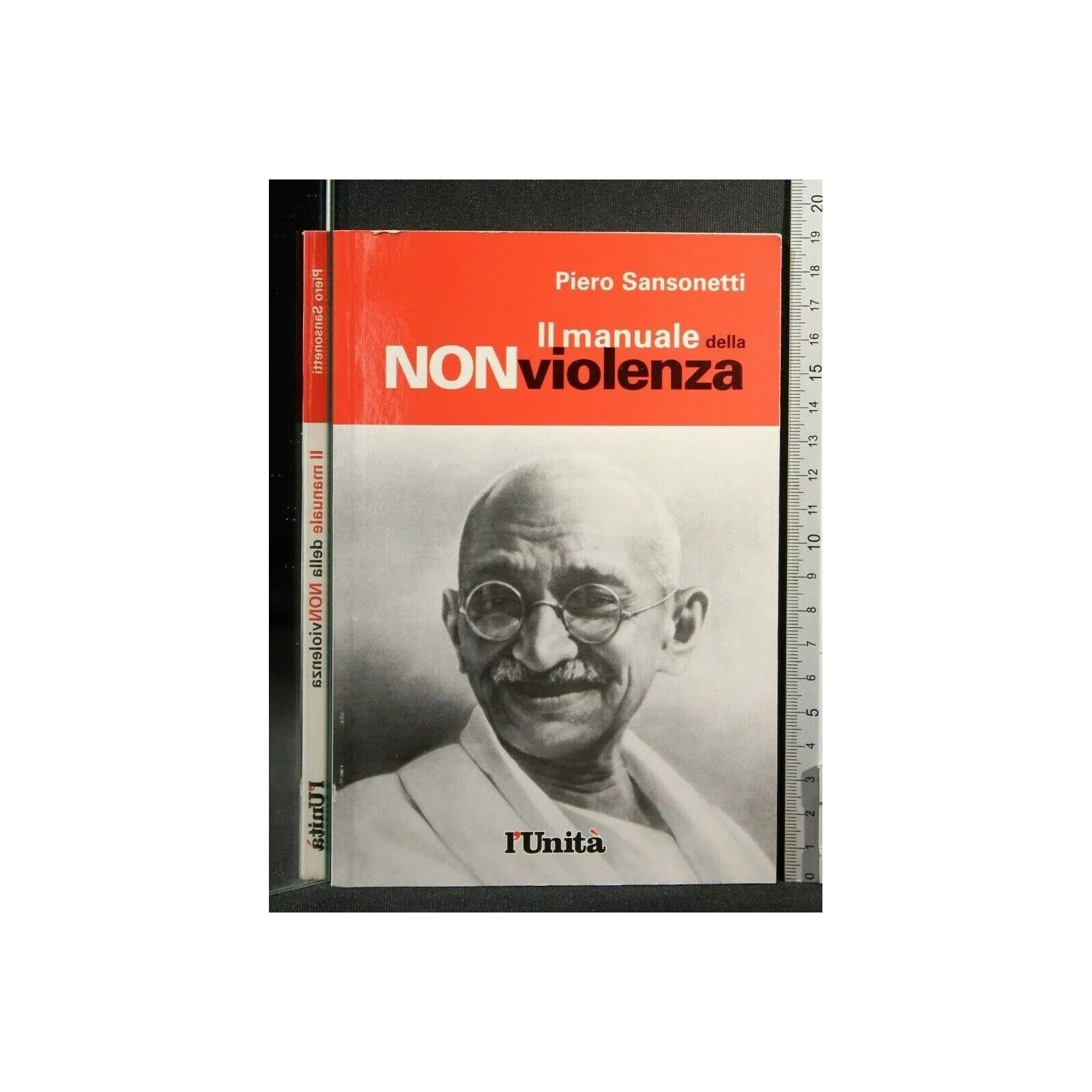IL MANUALE DELLA NON VIOLENZA
