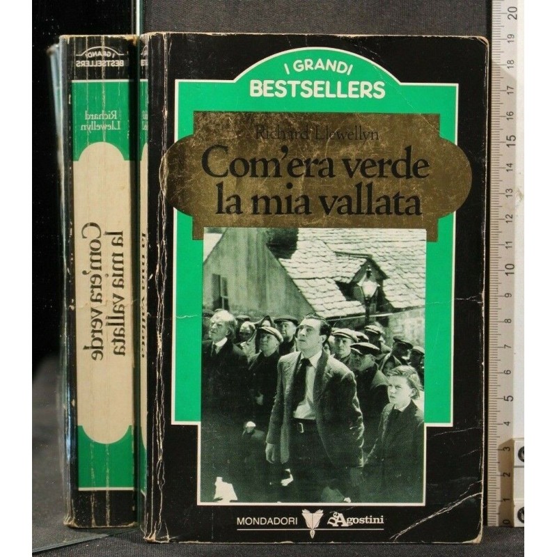 COM'ERA VERDE LA MIA VALLATA