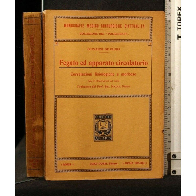 FEGATO ED APPARATO CIRCOLATORIO