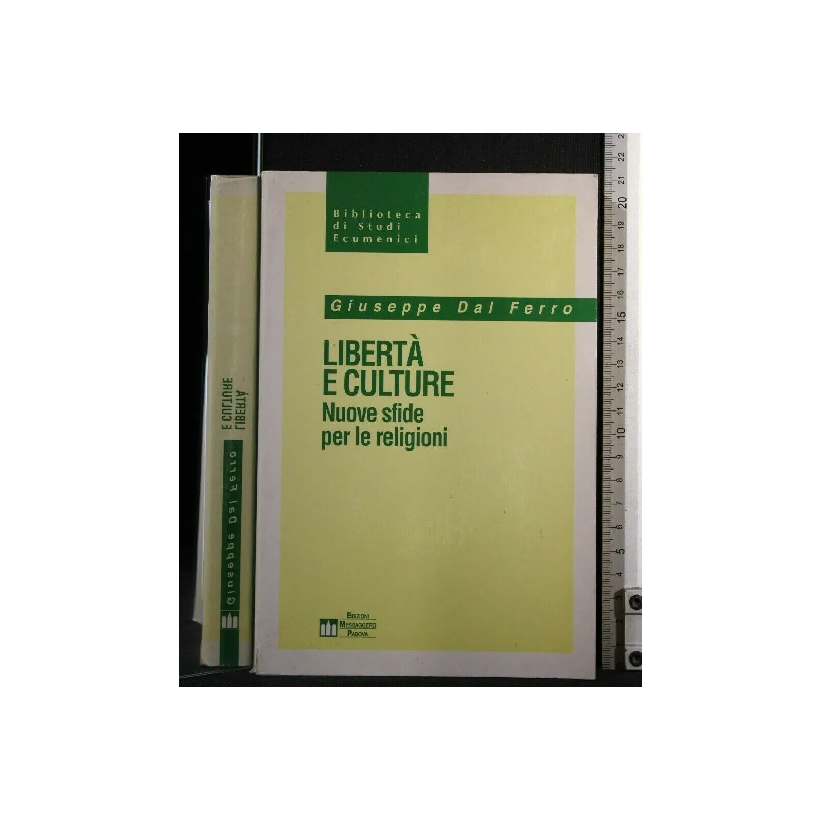 LIBERTA' E CULTURE NUOVE SFIDE PER LE RELIGIONI