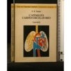 L'APPARATO CARDIOCIRCOLATORIO