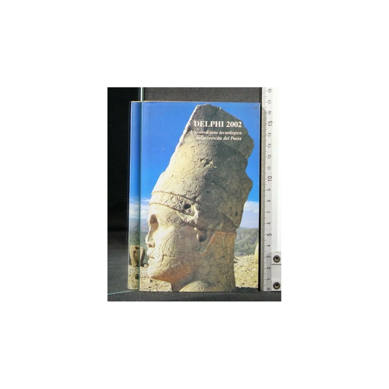 DELPHI 2002 L'INNOVAZIONE TECNOLOGICA NELLA CRESCITA DEL PAESE