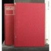DIE BIBEL MICHELANGELOS