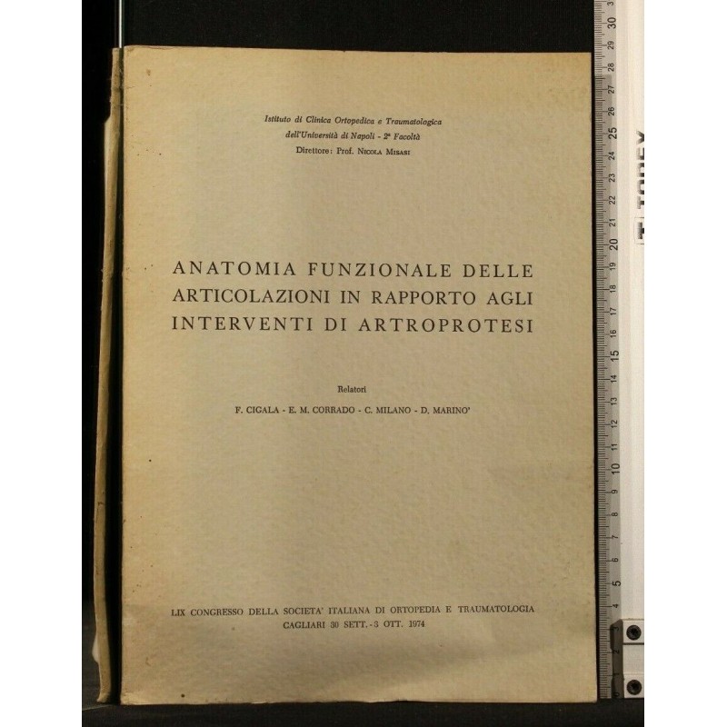 ANATOMIA FUNZIONALE DELLE ARTICOLAZIONI IN RAPPORTO AGLI