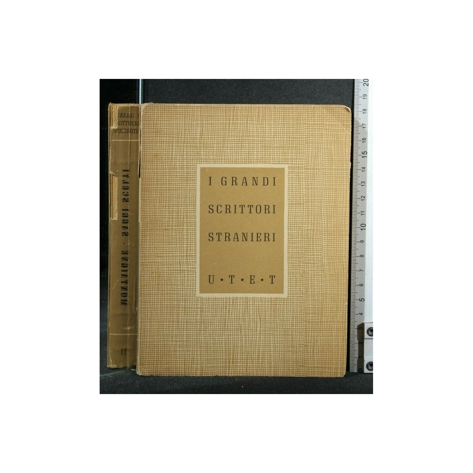 I GRANDI SCRITTORI STRANIERI SAGGI SCELTI