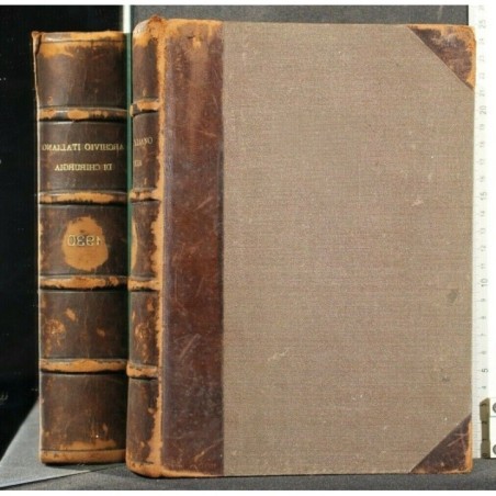 ARCHIVIO ITALIANO DI CHIRURGIA VOL XXV