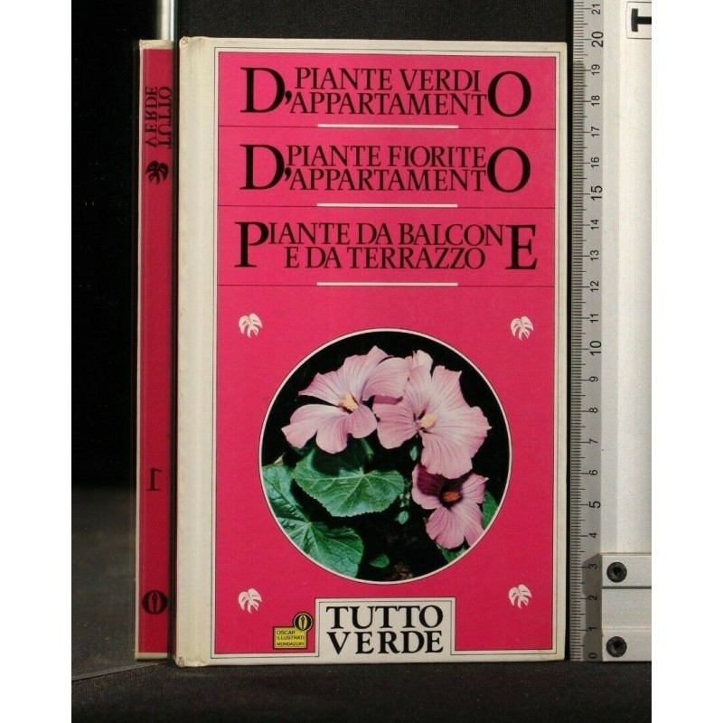 TUTTO VERDE PIANTE VERDI D'APPARTAMENTO PIANTE FIORITE
