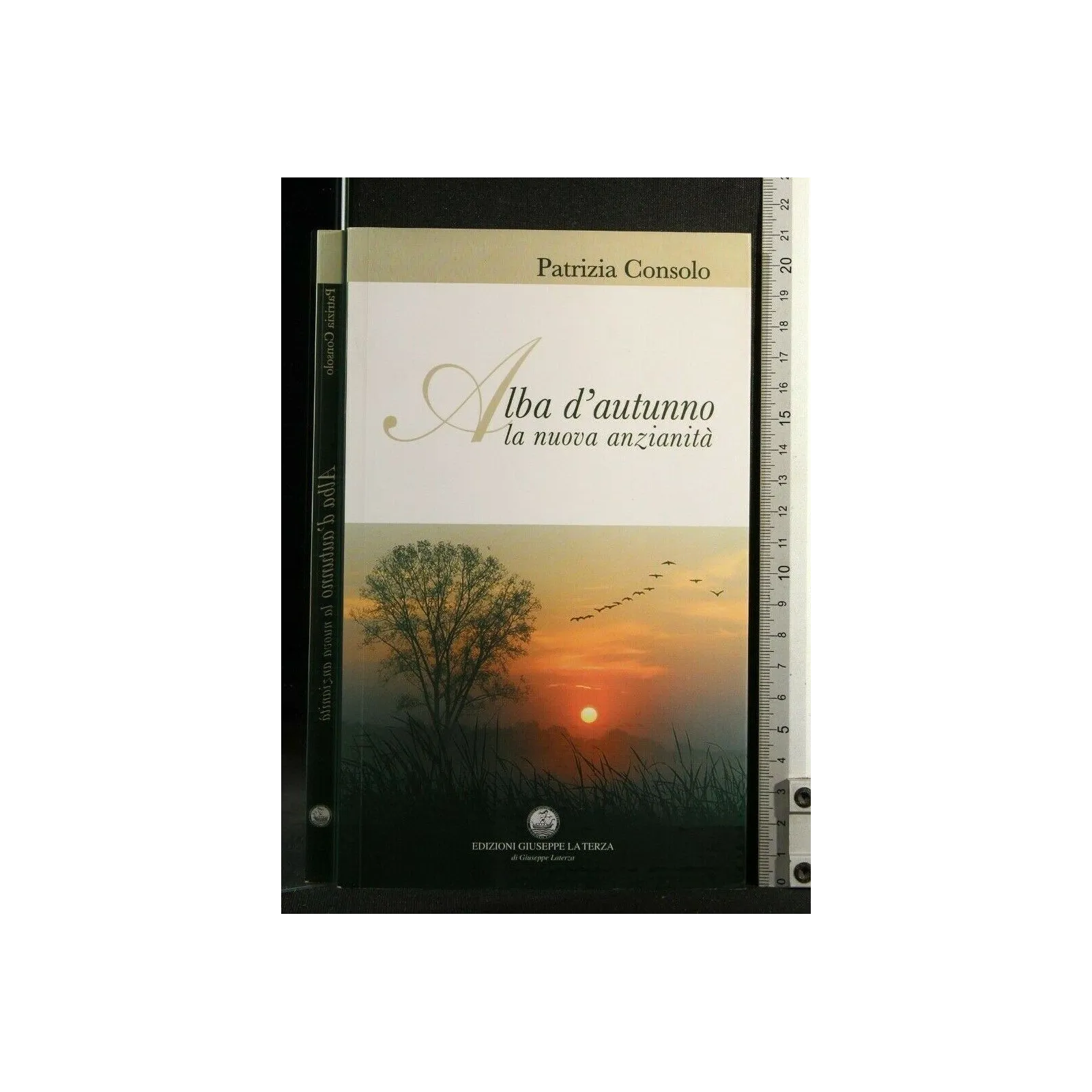 ALBA D'AUTUNNO LA NUOVA ANZIANITA'