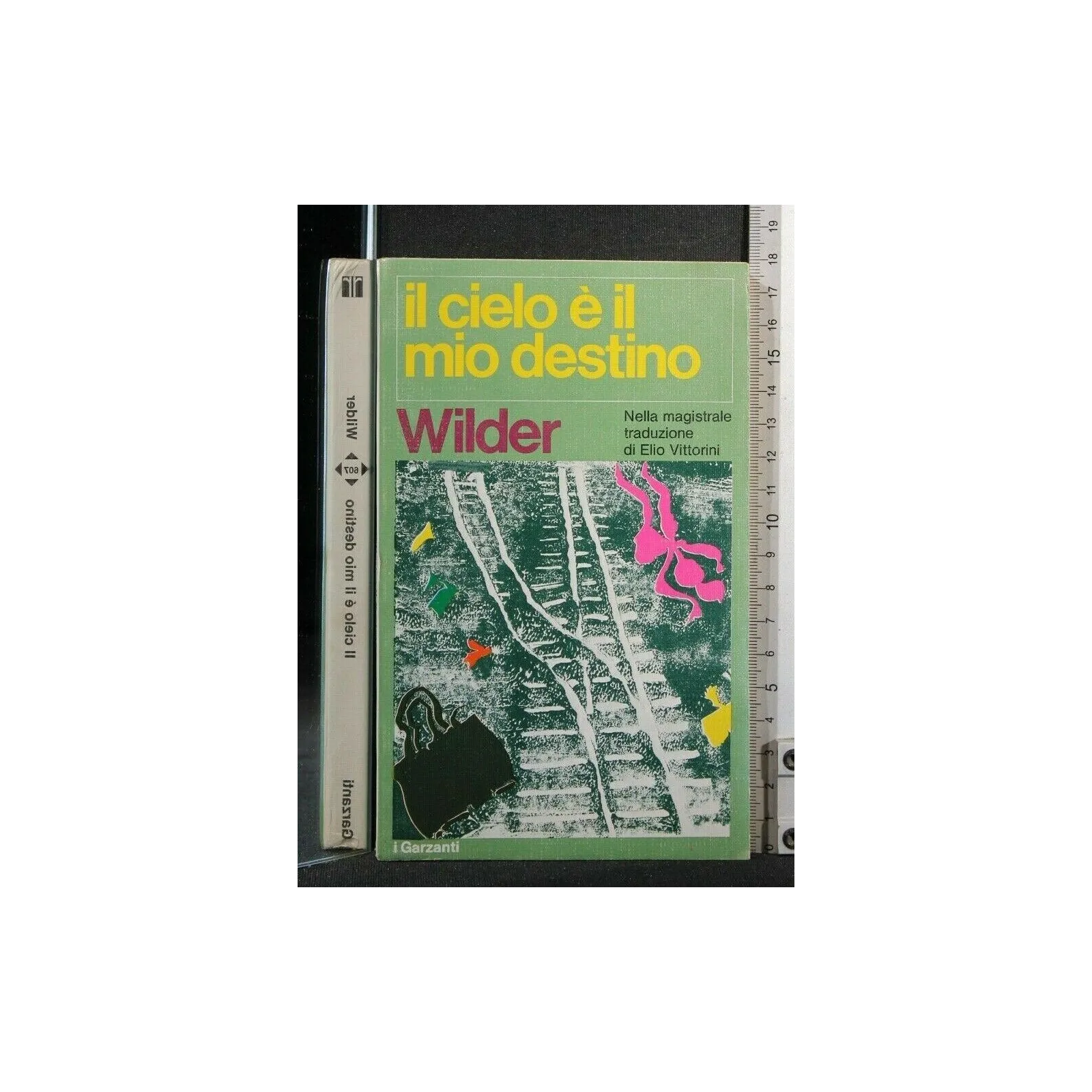 IL CIELO E' IL MIO DESTINO