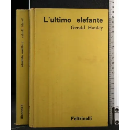 L'ULTIMO ELEFANTE