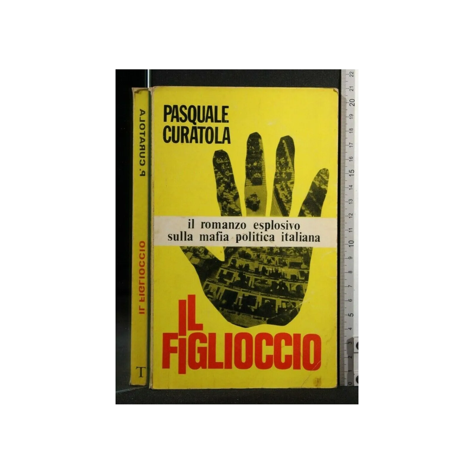 IL FIGLIOCCIO
