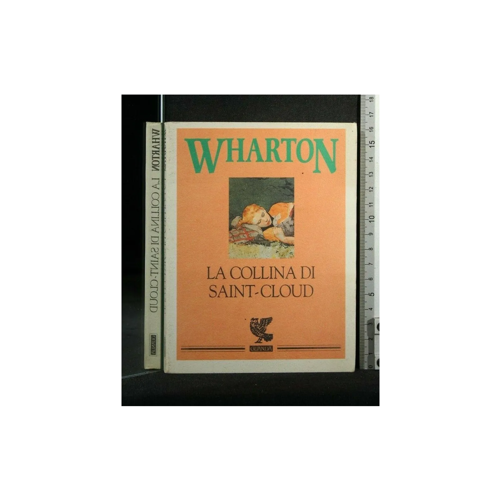 LA COLLINA DI SAINT-CLOUD