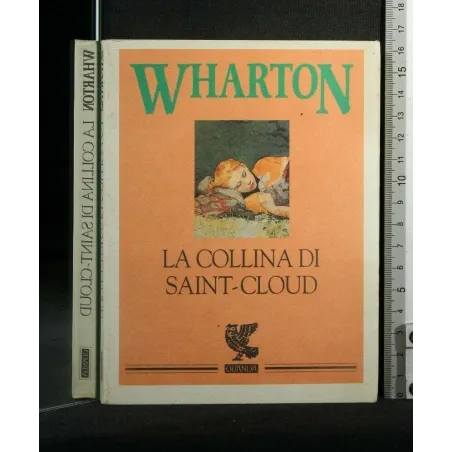 LA COLLINA DI SAINT-CLOUD