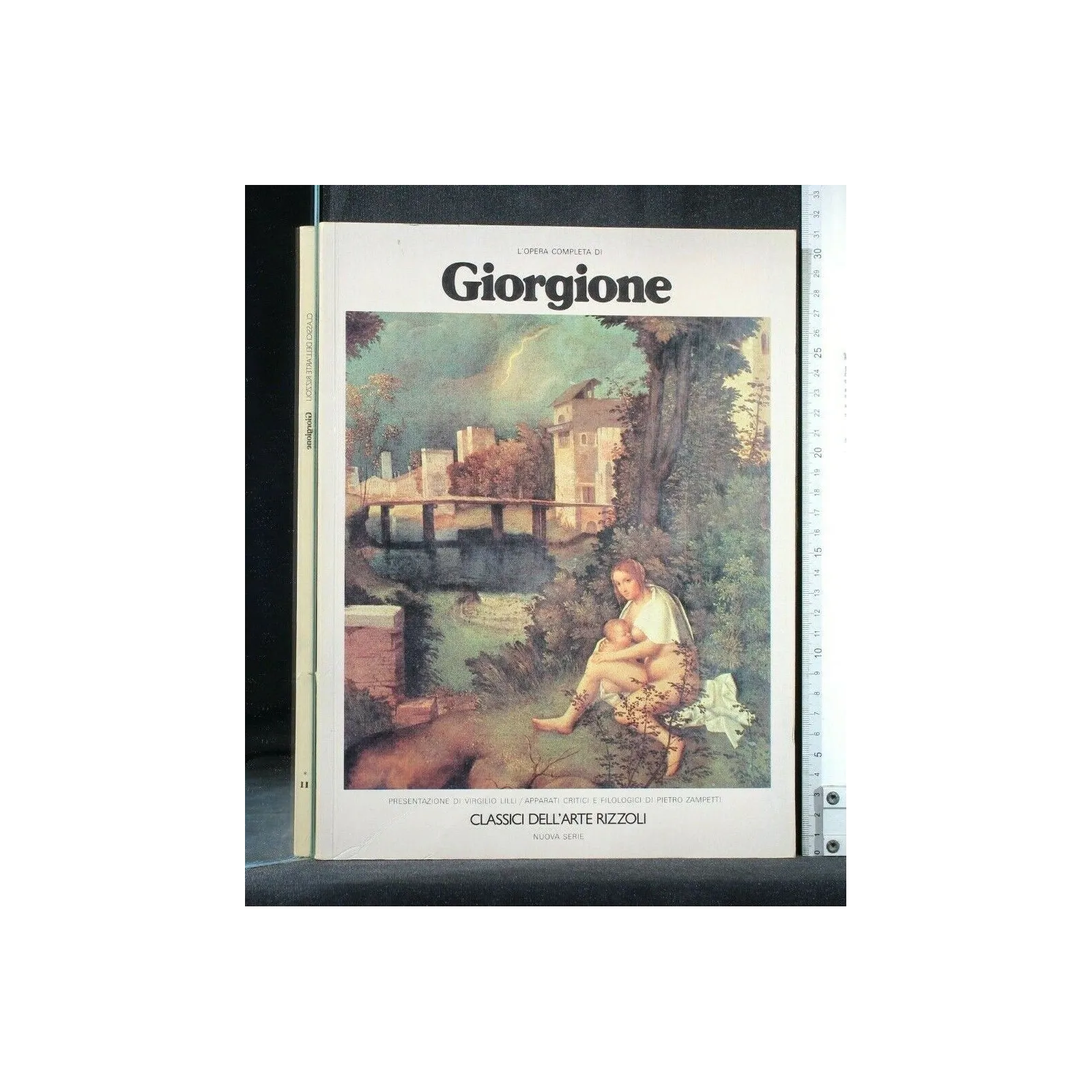 L'OPERA COMPLETA DI GIORGIONE