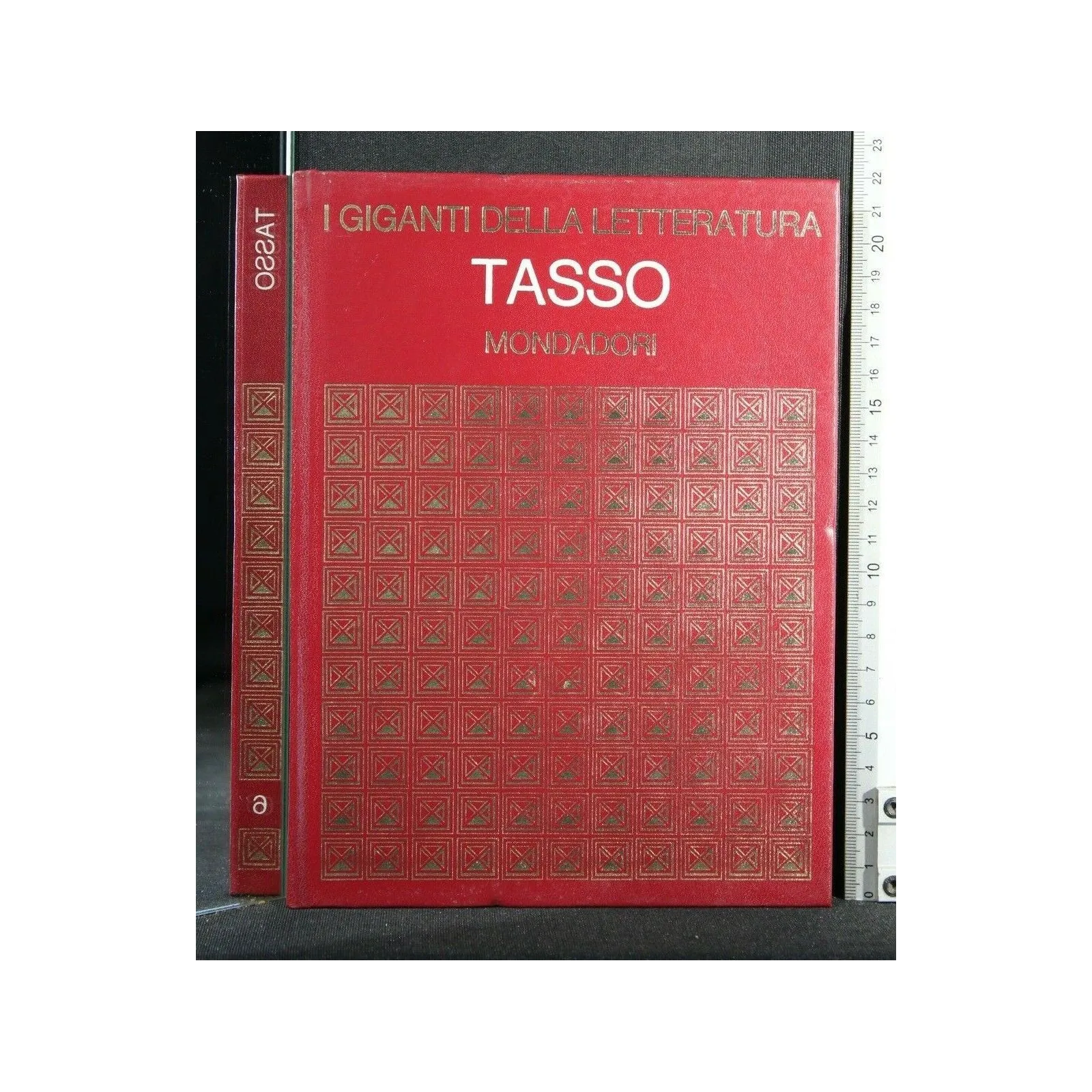 I GIGANTI DELLA LETTERATURA TASSO