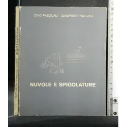 NUVOLE E SPIGOLATURE