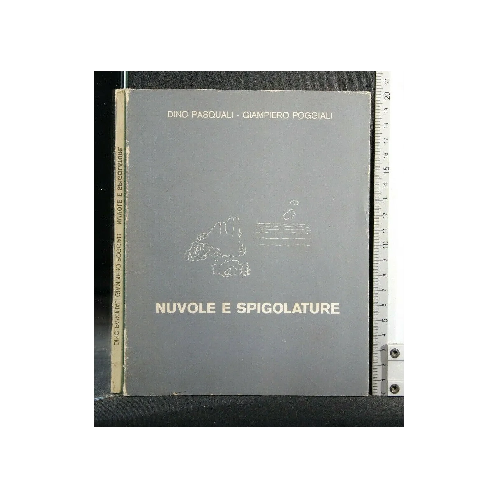 NUVOLE E SPIGOLATURE