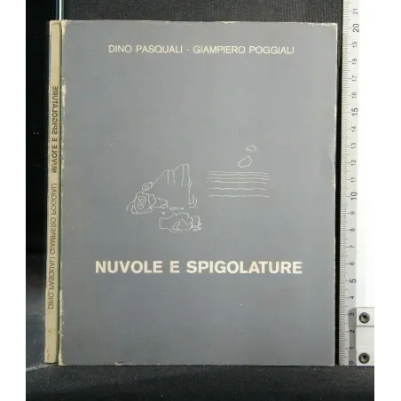NUVOLE E SPIGOLATURE