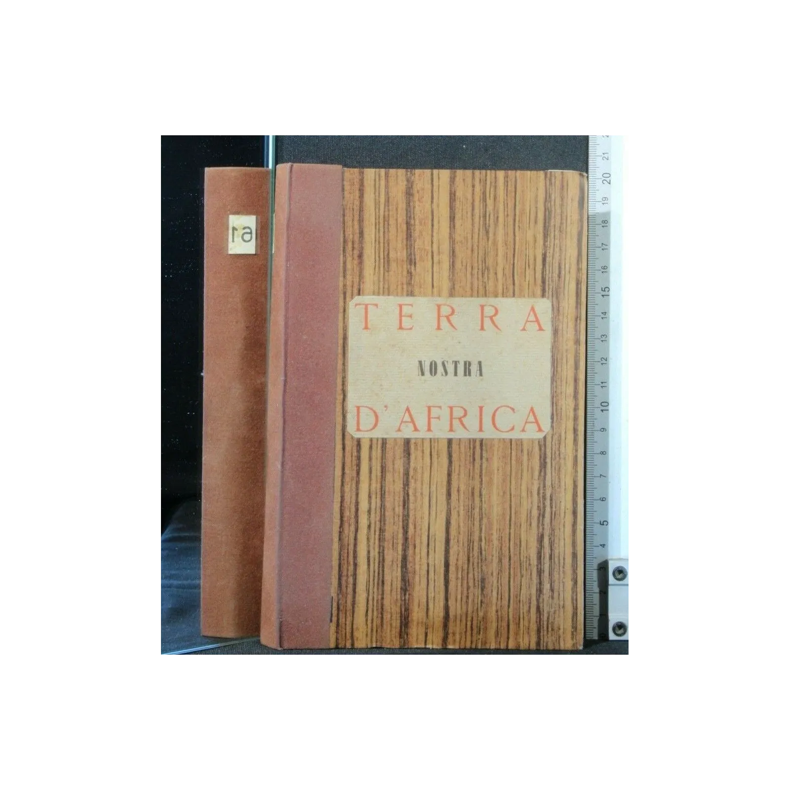 TERRA NOSTRA D'AFRICA