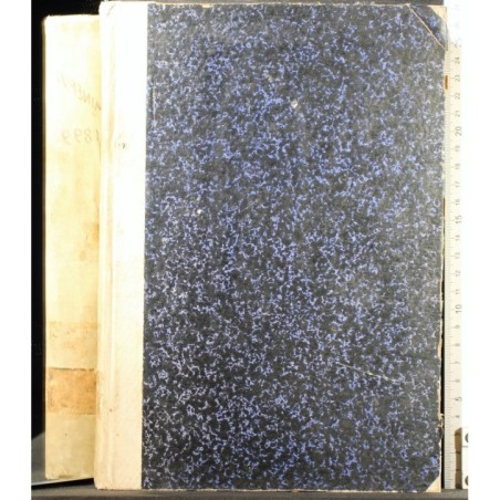 MINERVA. VOLUME XVIII GIU-DIC 1899.