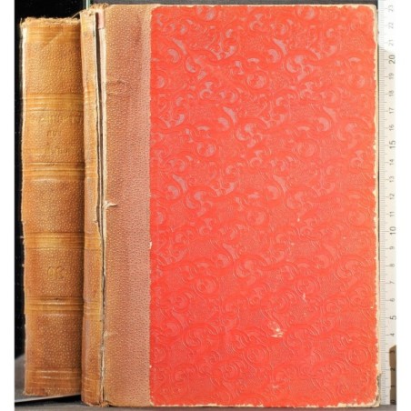 DEUTSCHES ARCHIV FUR KLINISCHE MEDICIN 20.