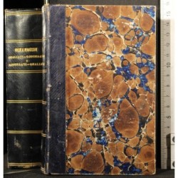 NUOVO DIZIONARIO SPAGNUOLO-ITALIANO E ITALIANO...
