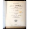 TRATTATO DI ANATOMIA UMANA. VOL 2 (PARTE QUARTA).