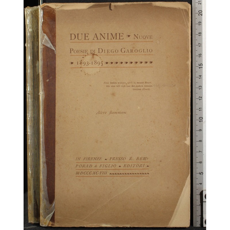 DUE ANIME. NUOVE POESIE 1893-1895.