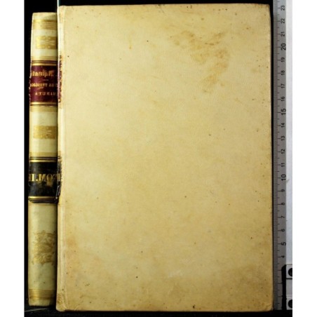 SUMMA THEOLOGICA MINUTA… TOMUS POSTERIOR.