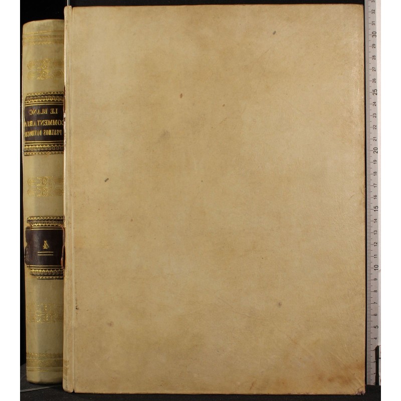COMMENTARIA IN PSALMORUM DAVIDICORUM. TOMUS IV.