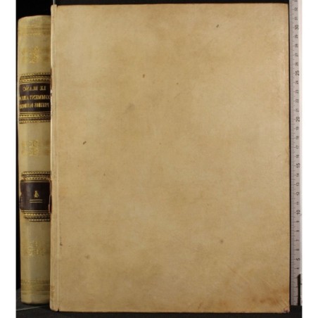 COMMENTARIA IN PSALMORUM DAVIDICORUM. TOMUS IV.