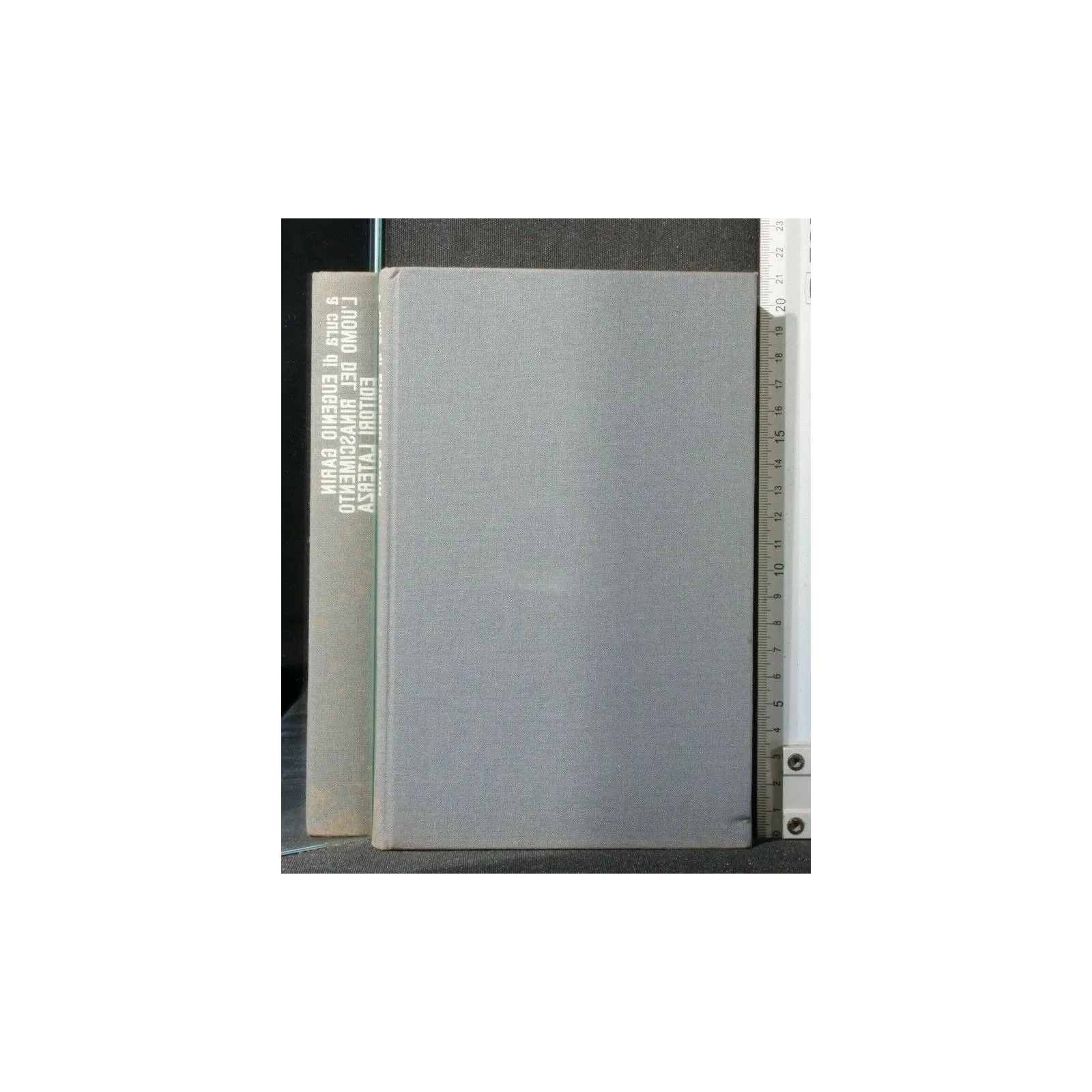 L'UOMO DEL RINASCIMENTO