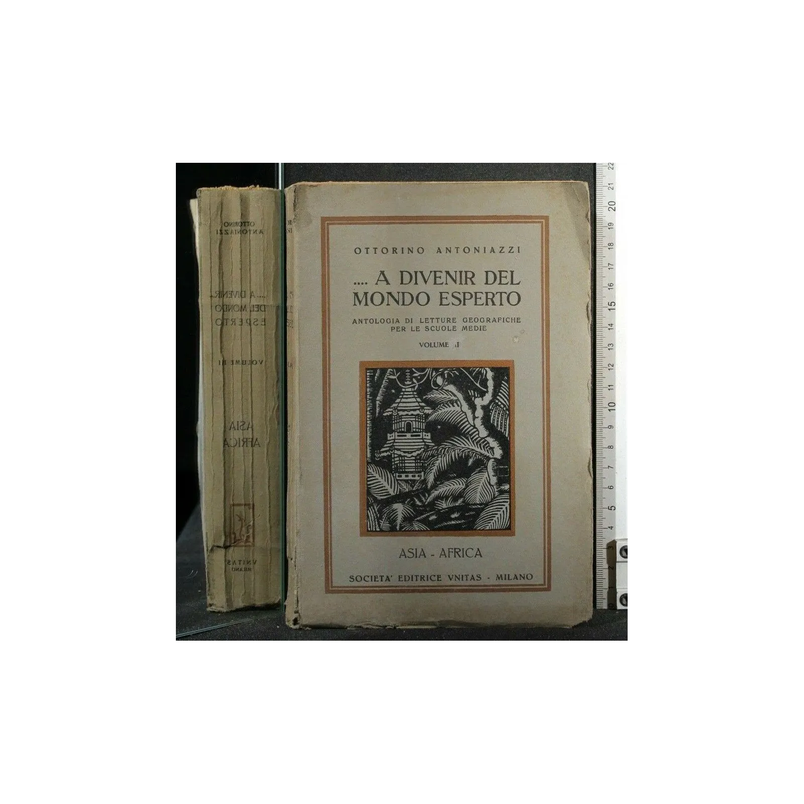 A DIVENIR DEL MONDO ESPERTO ASIA-AFRICA VOLUME 3