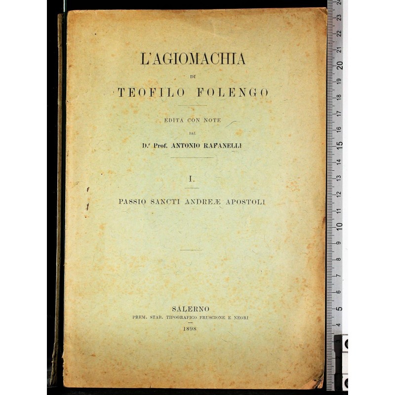 L'AGIOMACHIA. VOL I.